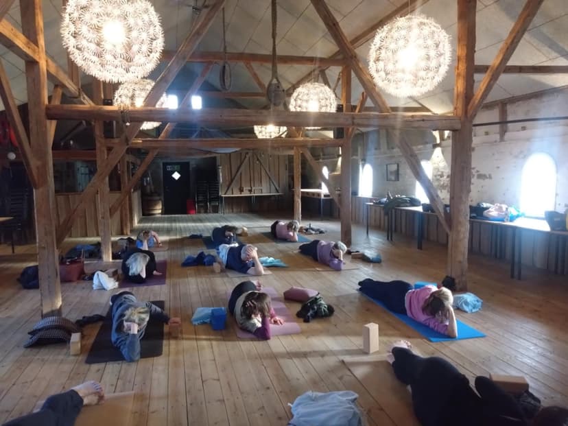 Yinpower yoga retreat juni 2026